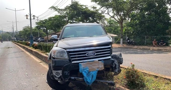 2 thanh niên không biết lái xe đi trộm ô tô rồi leo cây dừa để trốn