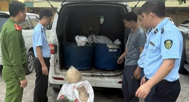 415kg mỡ và bì lợn bốc mùi ôi thiu đang được chở đi tiêu thụ 415kg mỡ và bì lợn bốc mùi ôi thiu đang được chở đi tiêu thụ