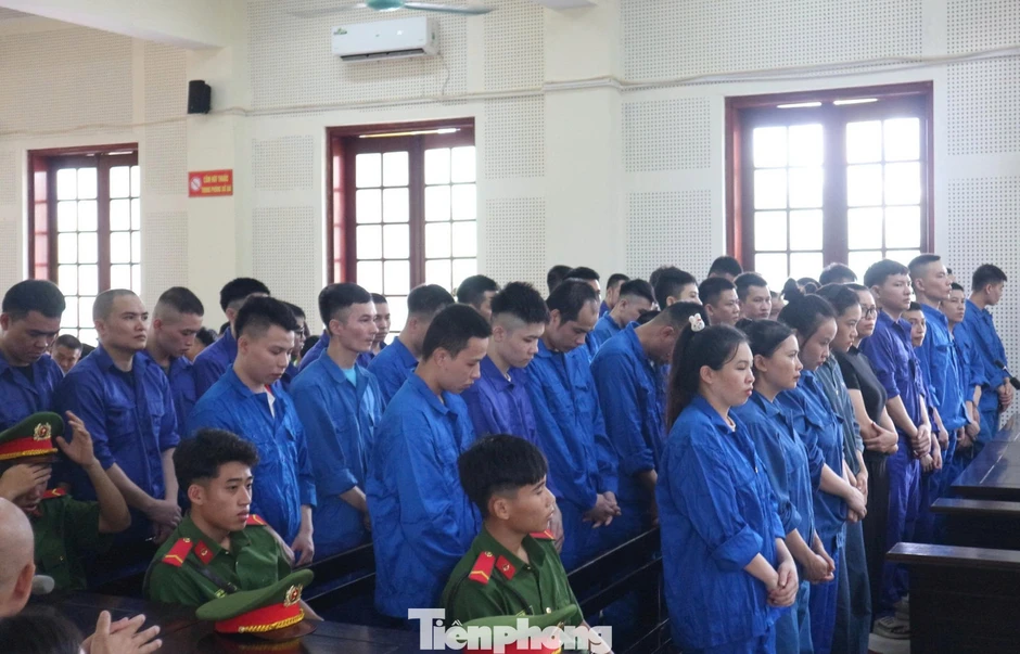 48 bị cáo trong đường dây lừa đảo xuyên quốc gia hầu tòa