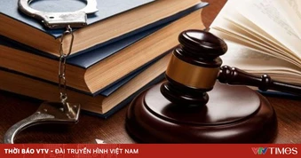 9 tháng tù cho kẻ tháo trộm 4 bánh xe ô tô VinFast tại Cà Mau