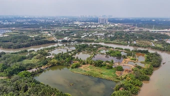 Ai được tính lại và hoàn tiền chuyển mục đích sử dụng đất theo quy định mới?