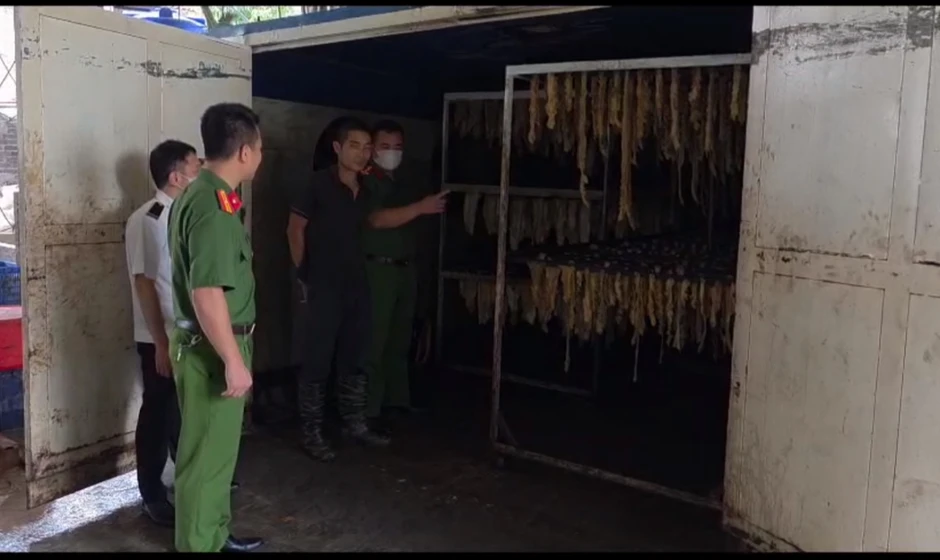 Bắc Ninh phát hiện cơ sở kinh doanh hơn 3 tấn lòng thối chuẩn bị đi tiêu thụ Bắc Ninh phát hiện cơ sở kinh doanh hơn 3 tấn lòng thối chuẩn bị đi tiêu thụ