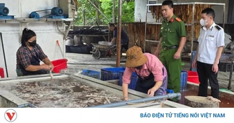 Bắc Ninh phát hiện cơ sở kinh doanh hơn 3 tấn lòng thối chuẩn bị đi tiêu thụ
