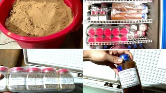 Bắt 2 đối tượng lừa đảo tại cơ sở “Điện Đại Thành-Thiên Y Thánh Mẫu”