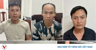 Bắt 3 đối tượng trộm gần 300 triệu đồng dây cáp điện của doanh nghiệp