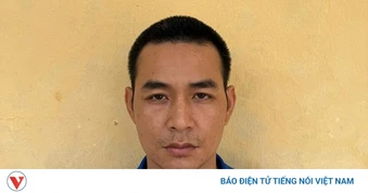 Bắt đối tượng phá két sắt trộm tài sản của người dân ở Hải Phòng và Quảng Ninh