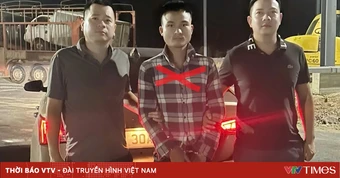 Bắt đối tượng truy nã về tội lừa đảo chiếm đoạt tài sản tại Hải Phòng