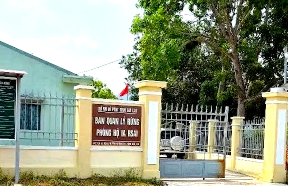 Bắt giám đốc ban quản lý rừng phòng hộ ở Gia Lai Bắt giám đốc ban quản lý rừng phòng hộ ở Gia Lai