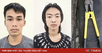 Bắt giữ 2 đối tượng thực hiện 17 vụ trộm dây điện tại các trạm biến áp