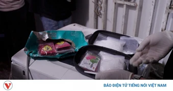 Bắt giữ 5 đối tượng liên quan đường dây ma túy tại Đà Lạt