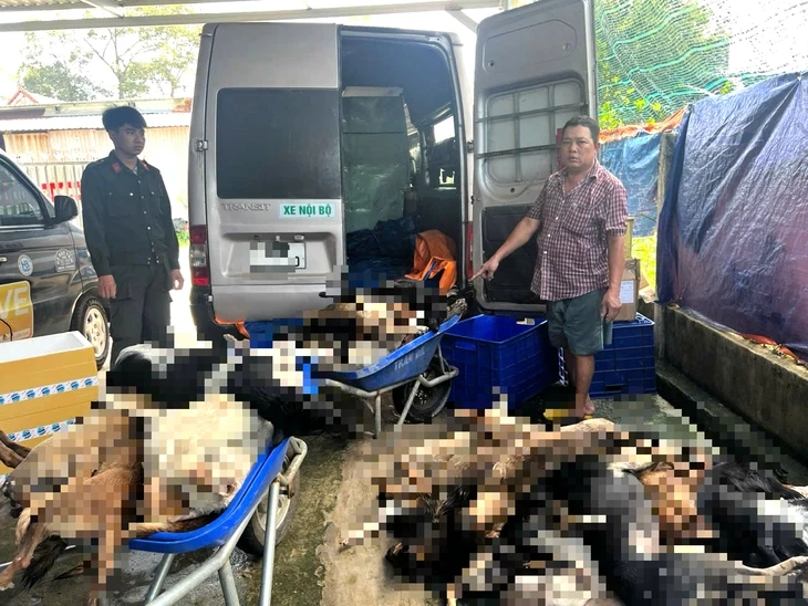Bắt giữ 9 người chuyên trộm chó, sơ chế ở Tây Ninh rồi đưa về TP.HCM tiêu thụ
