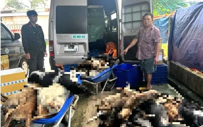 Bắt giữ 9 người trong đường dây chuyên trộm và tiêu thụ chó ở Tây Ninh Bắt giữ 9 người trong đường dây chuyên trộm và tiêu thụ chó ở Tây Ninh