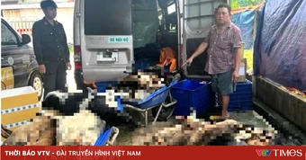 Bắt giữ 9 người trong đường dây chuyên trộm và tiêu thụ chó ở Tây Ninh