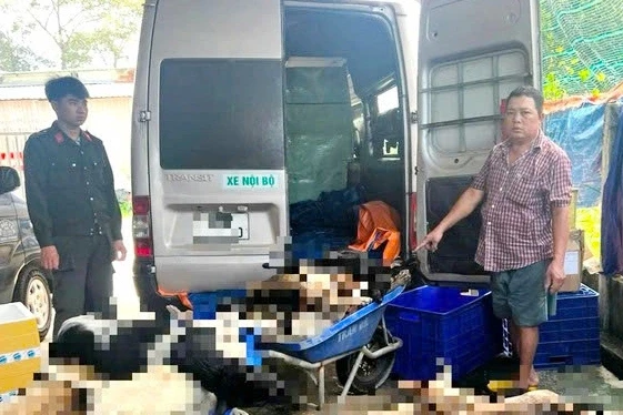 Bắt giữ 9 người trong đường dây trộm chó quy mô lớn ở Tây Ninh Bắt giữ 9 người trong đường dây trộm chó quy mô lớn ở Tây Ninh