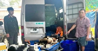 Bắt giữ 9 người trong đường dây trộm chó quy mô lớn ở Tây Ninh