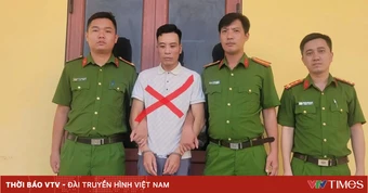 Bắt giữ đối tượng gây 7 vụ trộm liên tiếp tại Hải Phòng