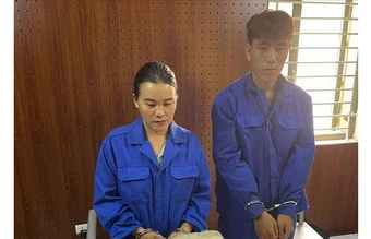 Bắt giữ đường dây ma túy liên tỉnh, xuyên biên giới