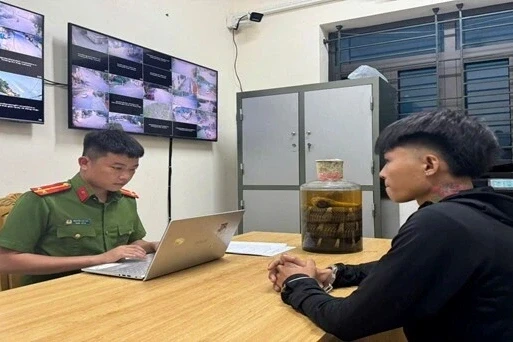 Bắt giữ nam thanh niên vận chuyển bình rượu ngâm rắn hổ mang chúa Bắt giữ nam thanh niên vận chuyển bình rượu ngâm rắn hổ mang chúa