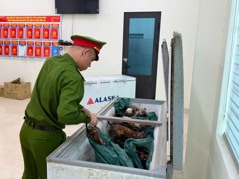 Bắt giữ nhóm đối tượng săn hơn 300 con mèo tại Hà Nội Bắt giữ nhóm đối tượng săn hơn 300 con mèo tại Hà Nội