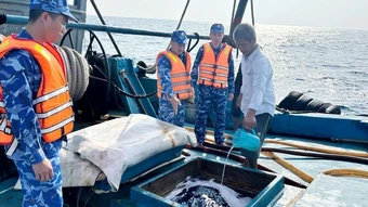 Bắt giữ tàu chở khoảng 130.000 lít dầu D.O trái phép trên vùng biển Tây Nam