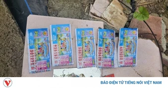 Bắt kẻ cướp tài sản của cụ bà khuyết tật 70 tuổi bán vé số
