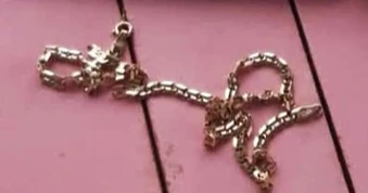 Bắt kẻ dùng dao khống chế người mẹ, giật dây chuyền của con