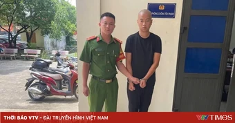 Bắt nghi phạm tháo trộm 2 bánh ô tô giữa khu đô thị Thanh Hà