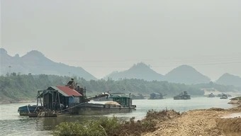 Bắt nhiều tàu cát tặc đang khai thác trên sông Lô