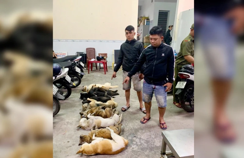 Bắt quả tang 2 “cẩu tặc” trong đêm khuya Bắt quả tang 2 “cẩu tặc” trong đêm khuya