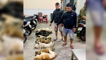 Bắt quả tang 2 “cẩu tặc” trong đêm khuya