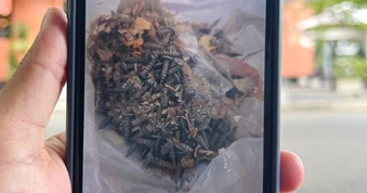Bắt quả tang kẻ rải đinh trên đường ở TPHCM