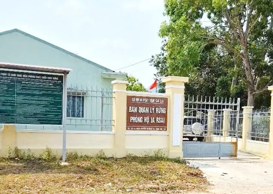 Bắt tạm giam 1 trưởng ban quản lý rừng phòng hộ ở Gia Lai Bắt tạm giam 1 trưởng ban quản lý rừng phòng hộ ở Gia Lai