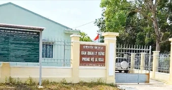 Bắt tạm giam 1 trưởng ban quản lý rừng phòng hộ ở Gia Lai