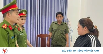 Bắt tạm giam nữ giám đốc doanh nghiệp vì tội trốn thuế