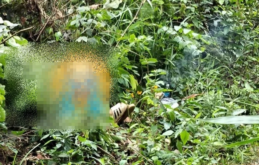 Bẫy chim trên đèo Bảo Lộc, bị điện cao thế phóng tử vong Bẫy chim trên đèo Bảo Lộc, bị điện cao thế phóng tử vong