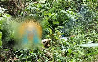 Bẫy chim trên đèo Bảo Lộc, bị điện cao thế phóng tử vong