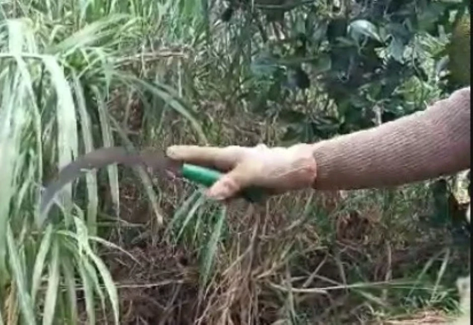 Bị cáo kêu oan, bị hại nói bị cáo không phải là người chém mình Bị cáo kêu oan, bị hại nói bị cáo không phải là người chém mình