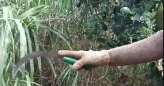 Bị cáo kêu oan, bị hại nói bị cáo không phải là người chém mình