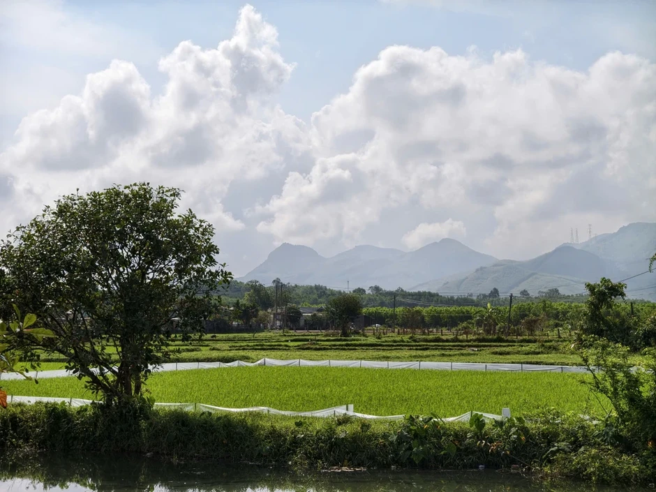 Bị hủy án vì thay hội thẩm nhưng không xét xử lại từ đầu Bị hủy án vì thay hội thẩm nhưng không xét xử lại từ đầu