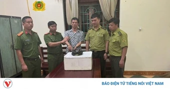 Bị khởi tố vì mua rắn hổ chúa để "sử dụng cá nhân"
