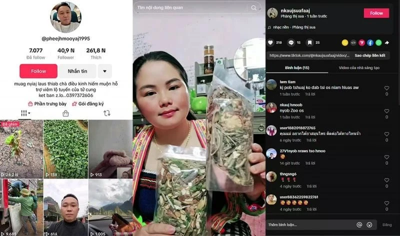 Bị khởi tố vì tự hái cây rừng, chế thành 'thuốc' Nam để bán