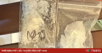 Biến container thành "boongke" ma túy và súng đạn, 3 bị cáo lĩnh án chung thân
