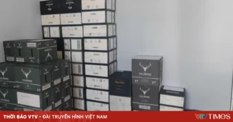 Bộ đội Biên phòng triệt phá gần 350 vụ buôn lậu, thu giữ hơn 205 kg ma túy dịp cao điểm