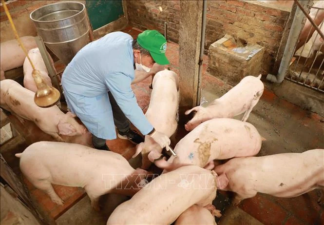 Bổ sung thủ tục cấp, gia hạn Giấy chứng nhận đủ điều kiện sản xuất, buôn bán thuốc thú y Bổ sung thủ tục cấp, gia hạn Giấy chứng nhận đủ điều kiện sản xuất, buôn bán thuốc thú y