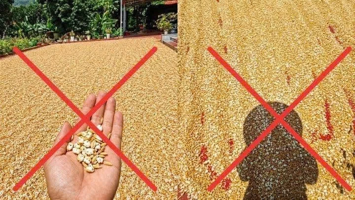 Bùng nổ trí tuệ nhân tạo (AI) và những thách thức mới với an ninh quốc gia Bùng nổ trí tuệ nhân tạo (AI) và những thách thức mới với an ninh quốc gia