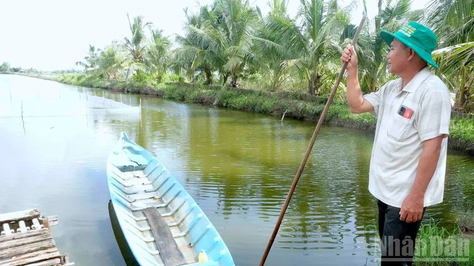 Cà Mau chuyển hồ sơ sang cơ quan điều tra vụ công ty nợ tiền mua lúa