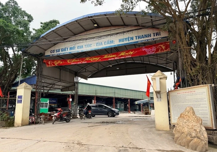 Cách cán bộ kiểm dịch vòi tiền, 'mở cửa' cho 3.600 con heo bệnh vào chợ, bếp ăn trường học Cách cán bộ kiểm dịch vòi tiền, 'mở cửa' cho 3.600 con heo bệnh vào chợ, bếp ăn trường học