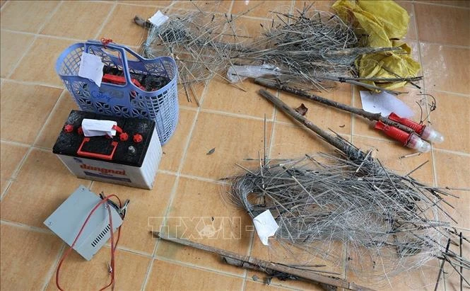 Cảnh báo hiểm họa từ bẫy điện diệt chuột trên đồng ruộng Cảnh báo hiểm họa từ bẫy điện diệt chuột trên đồng ruộng