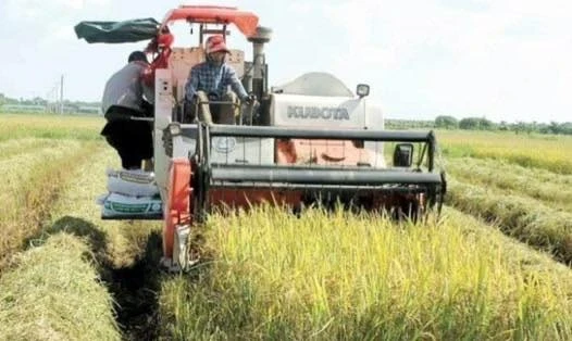 Cảnh báo tình trạng 'bảo kê' máy gặt lúa Cảnh báo tình trạng 'bảo kê' máy gặt lúa