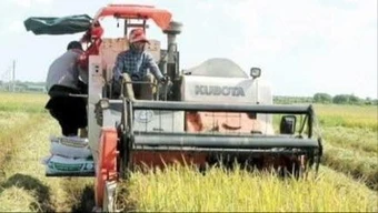 Cảnh báo tình trạng 'bảo kê' máy gặt lúa